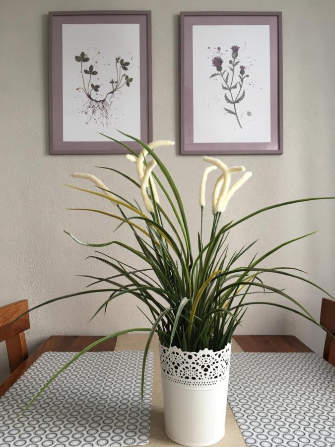 Apartment Pension Sternchen Erfurt Bagian luar foto